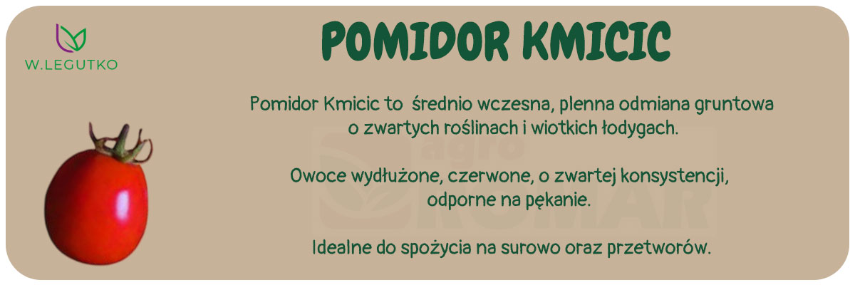 Nasiona pomidora Kmicic 1g – średnio wczesna odmiana gruntowa o wydłużonych owocach.